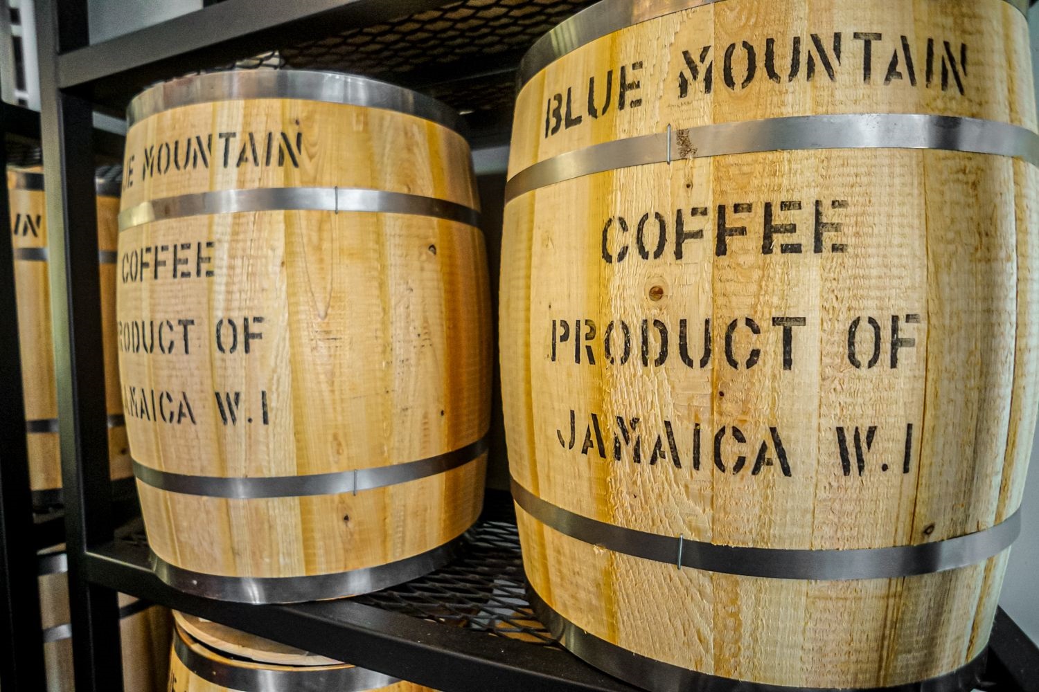 Blue Mountain Coffee investors
